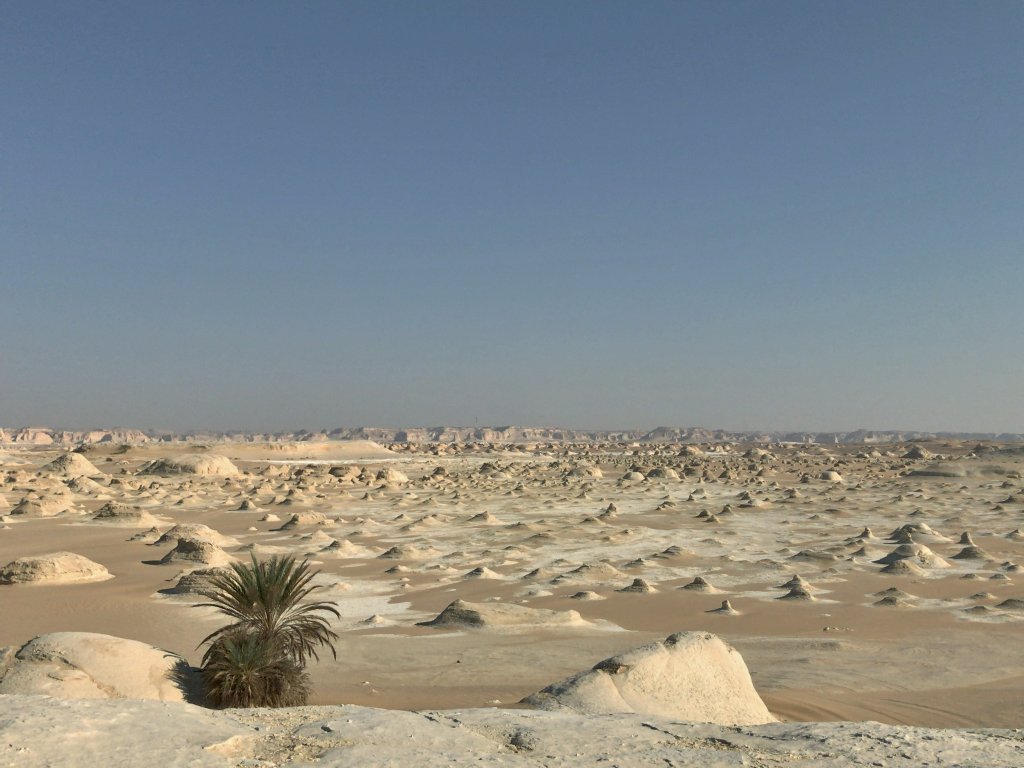 白い砂漠