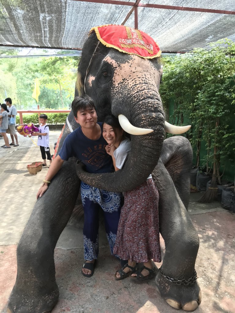 タイの象